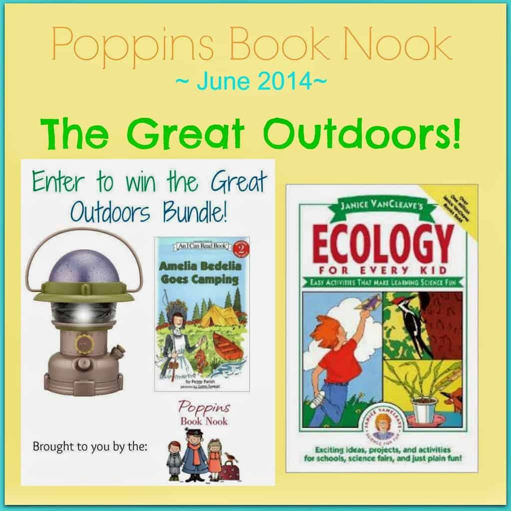 nature based middle school science DIY ant farm