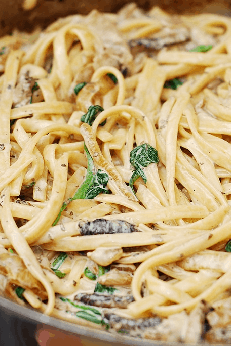creamy mushroom spinach onion pasta
