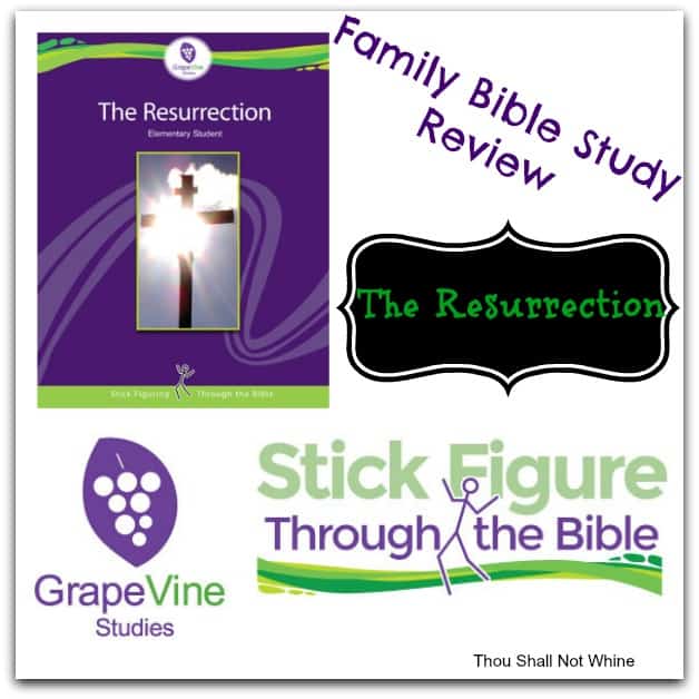 Family Bible Study Review