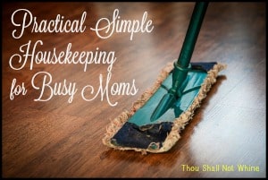 Simple Housekeeping for Busy Moms