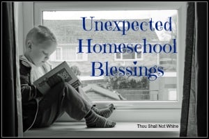 Unexpected Homeschool Blessings