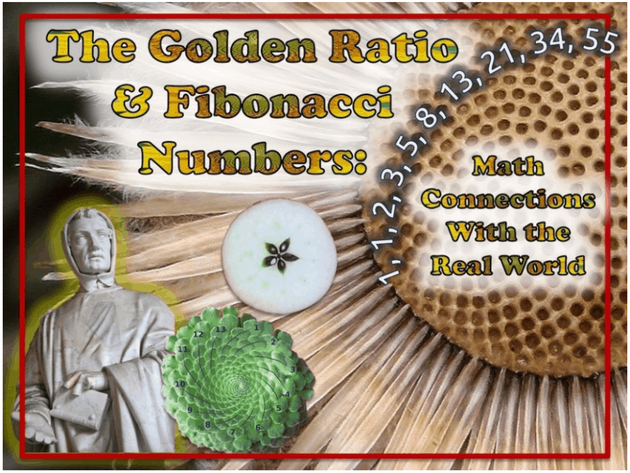 NatureGlo's eScience