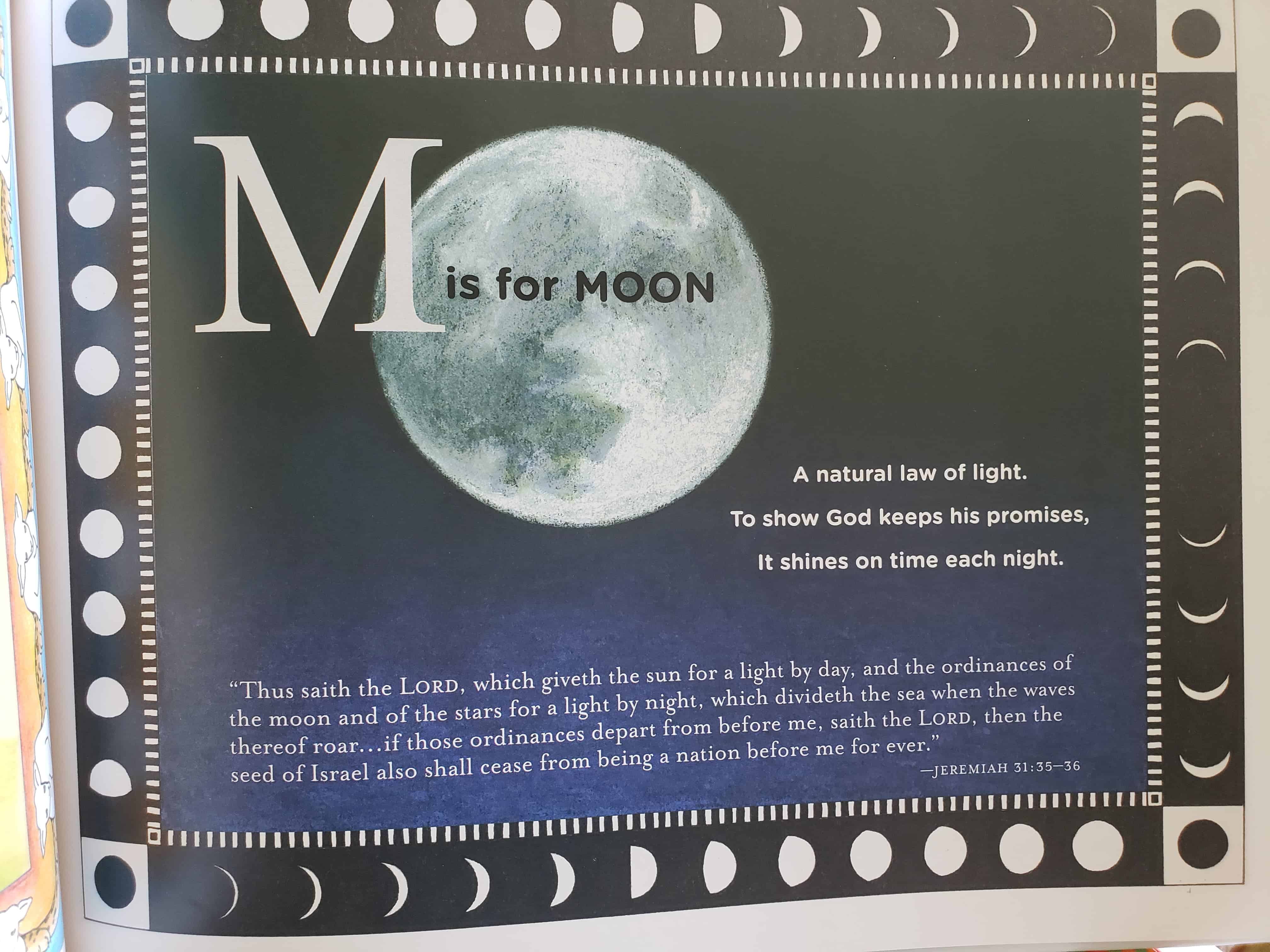 T is for Tree Review ThouShallNotWhine.com Homeschooling | Curriculum | Homeschool