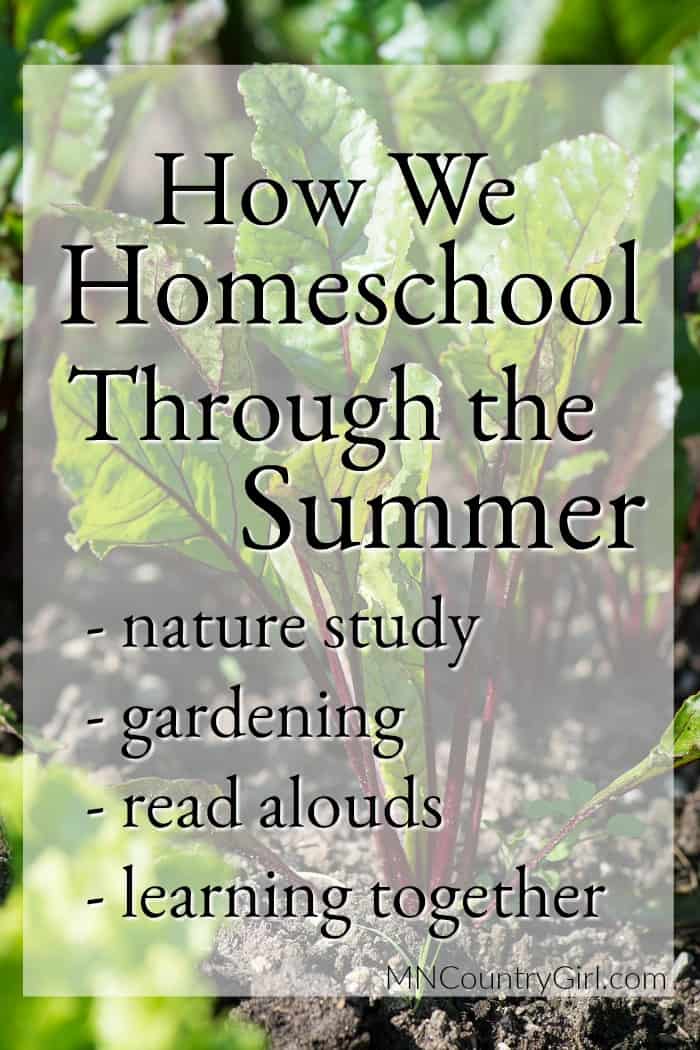 How We Homeschool Through the Summer ThouShallNotWhine.com