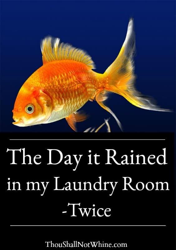 The Day It Rained In My Laundry Room - Twice ThouShallNotWhine.com
