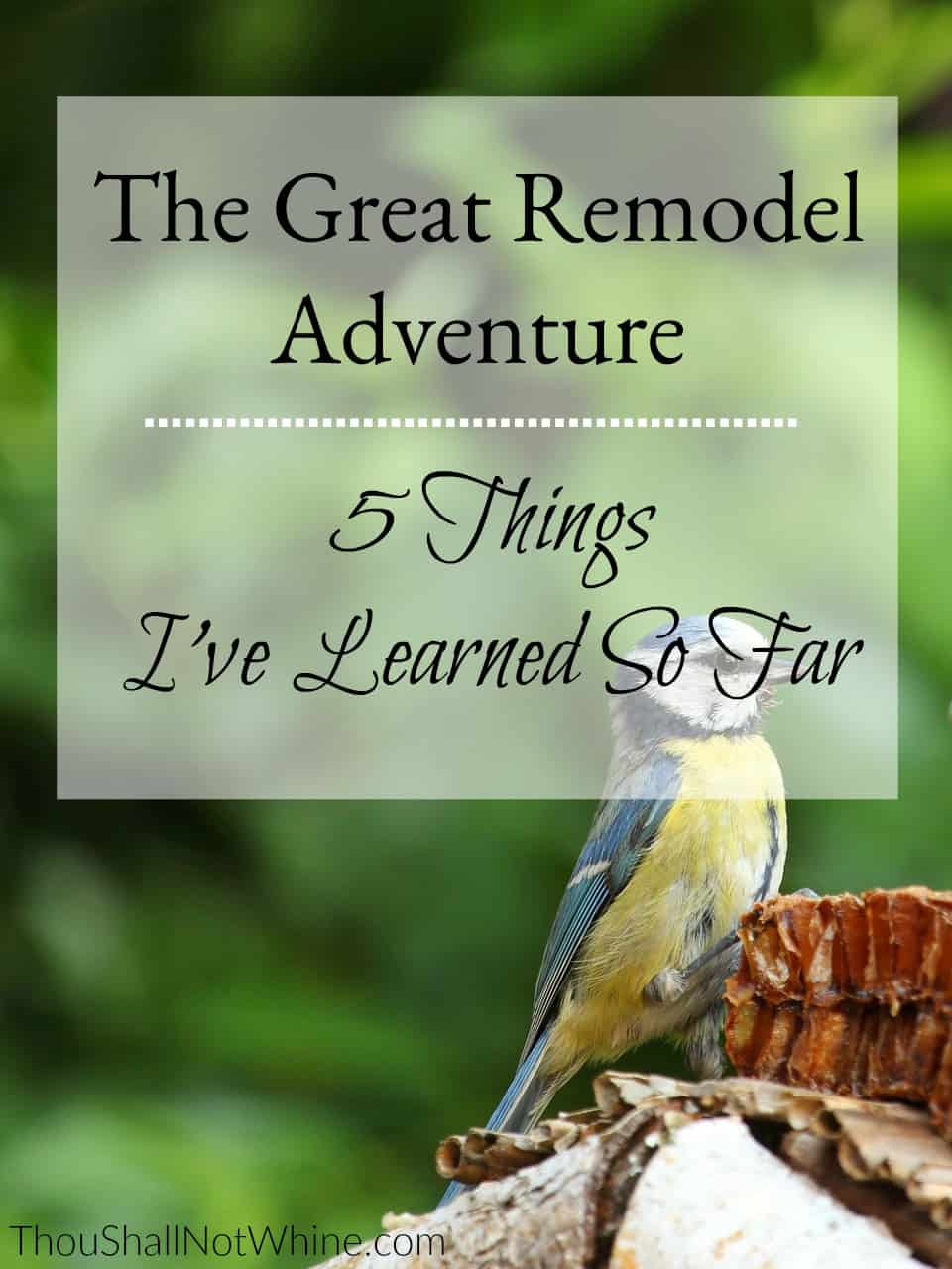 The Great Remodel Adventure ThouShallNotWhine.com