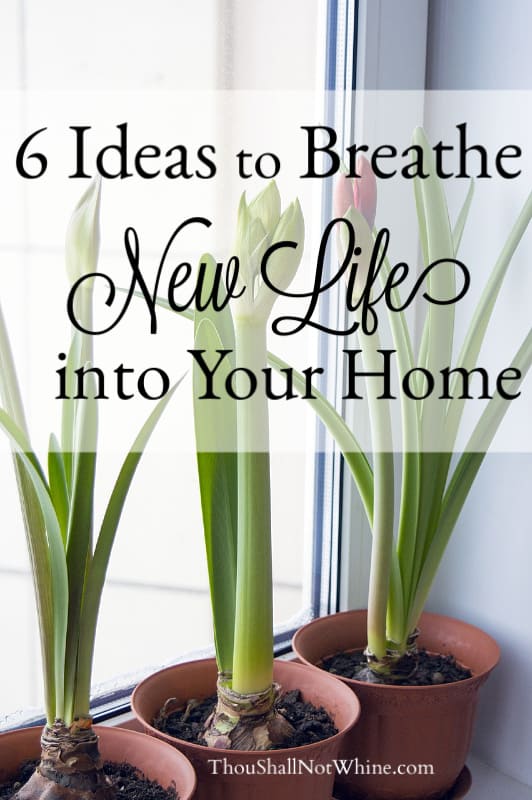 6 Ideas to Breathe New Life into Your Home ThouShallNotWhine.com