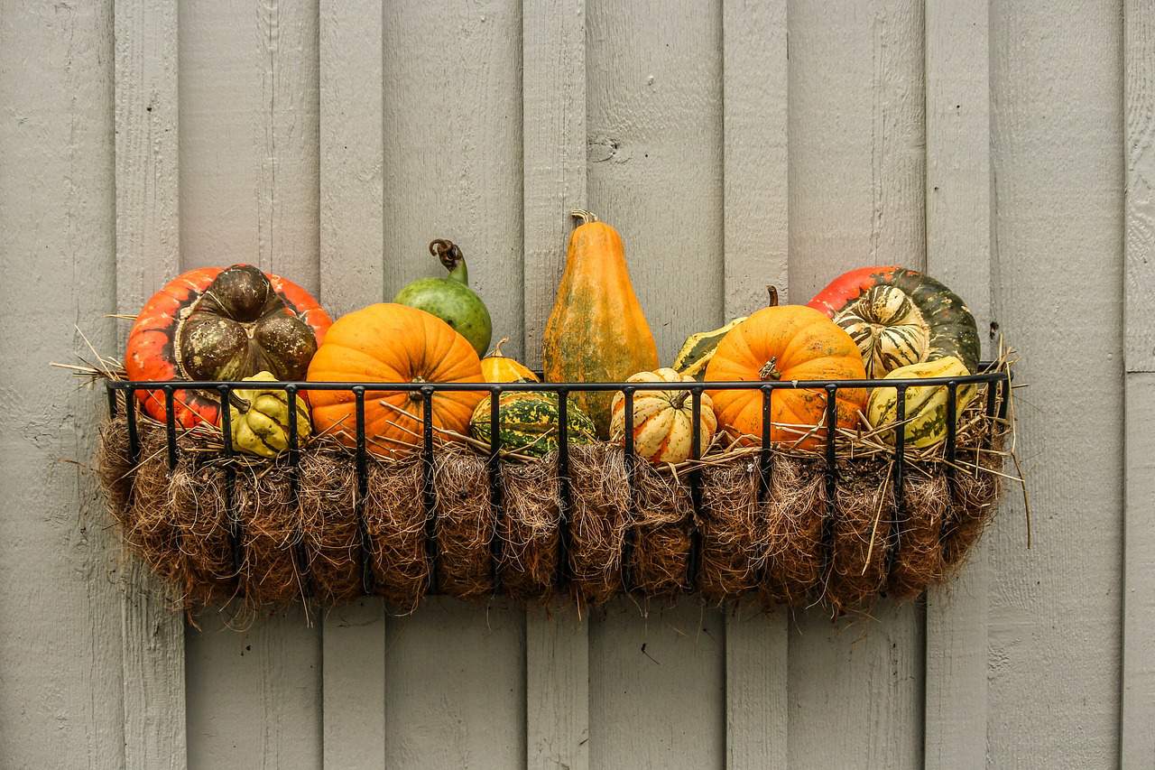 Favorite Fall Vegetables and What To Do With Them Recipes | Meal Planning ThouShallNotWhine.com