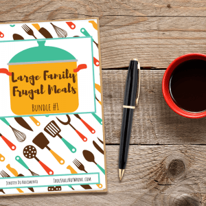 Large Family Frugal Meals ThouShallNotWhine.com