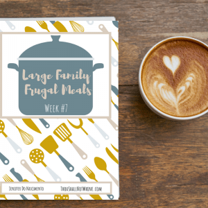 Large Family Frugal Meals Week #7