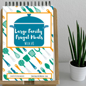 Large Family Frugal Meals Week #8
