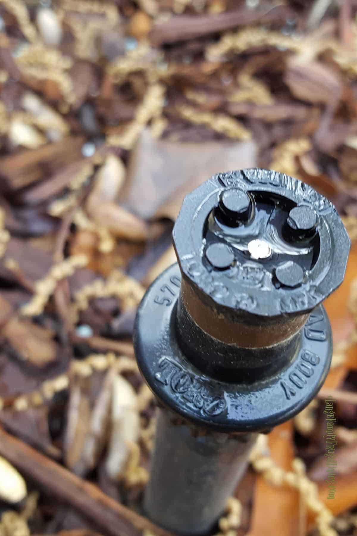 Sprinkler head among a bed of mulch