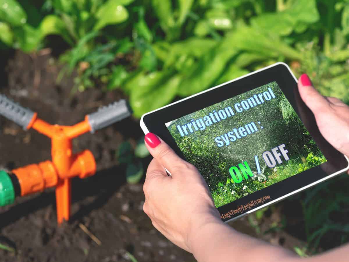 Woman's hands holding a tablet with irrigation control software on screen