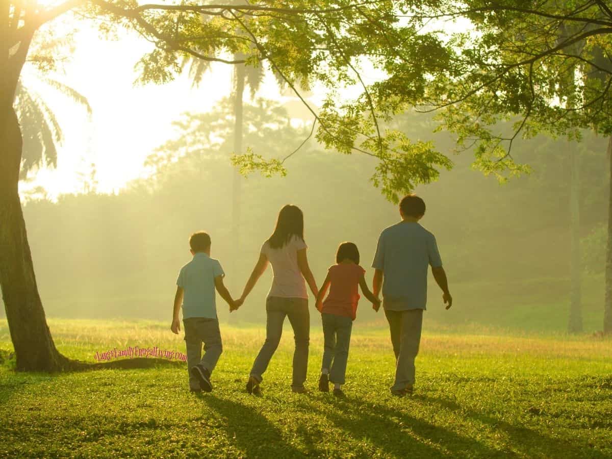 Family walking hand-in-hand outdoors towards clearing in trees during sunrise.