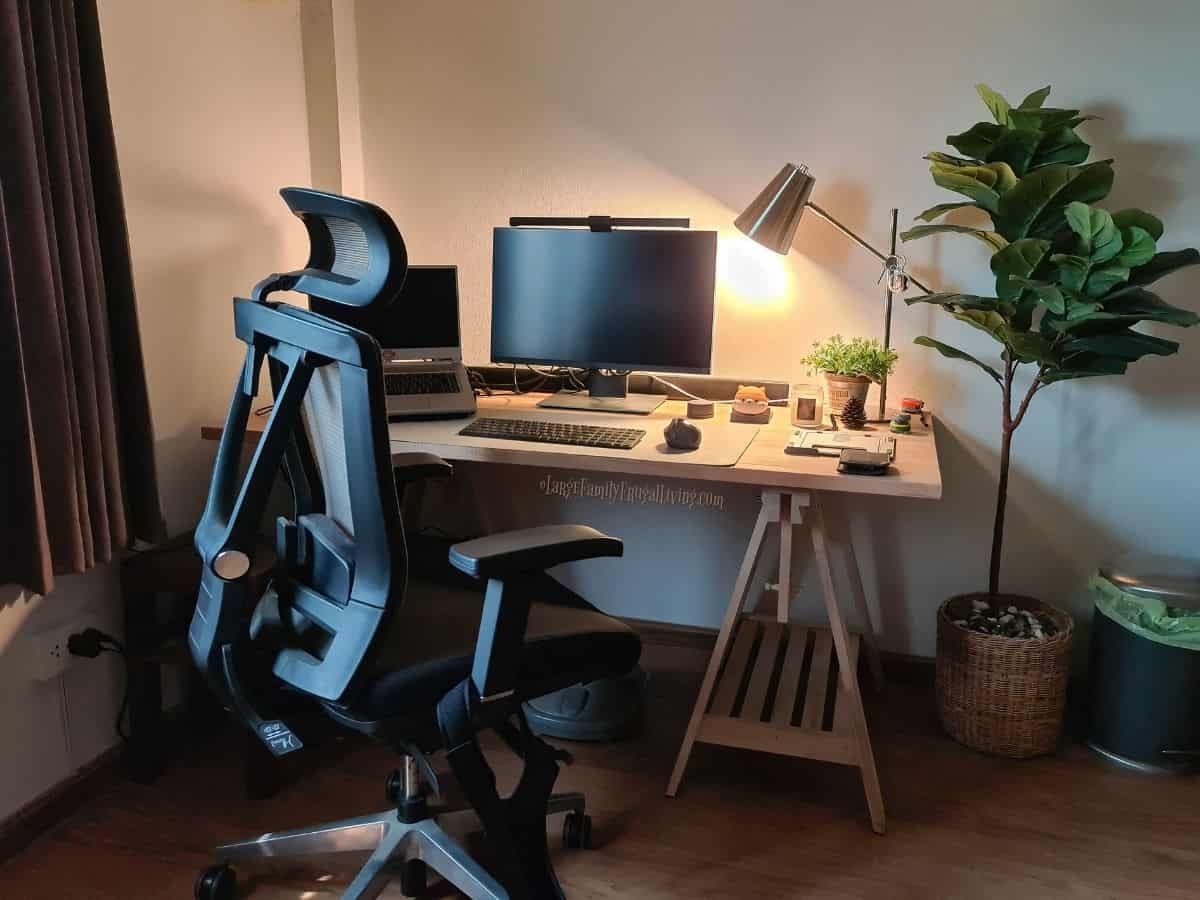 Working corner with laptop, monitor, lighting, plants, wooden desk, and ergonomic chair